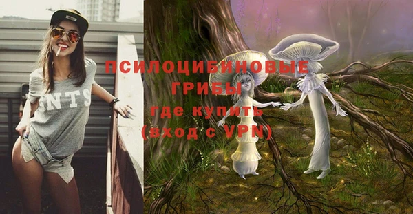 дурь Алзамай