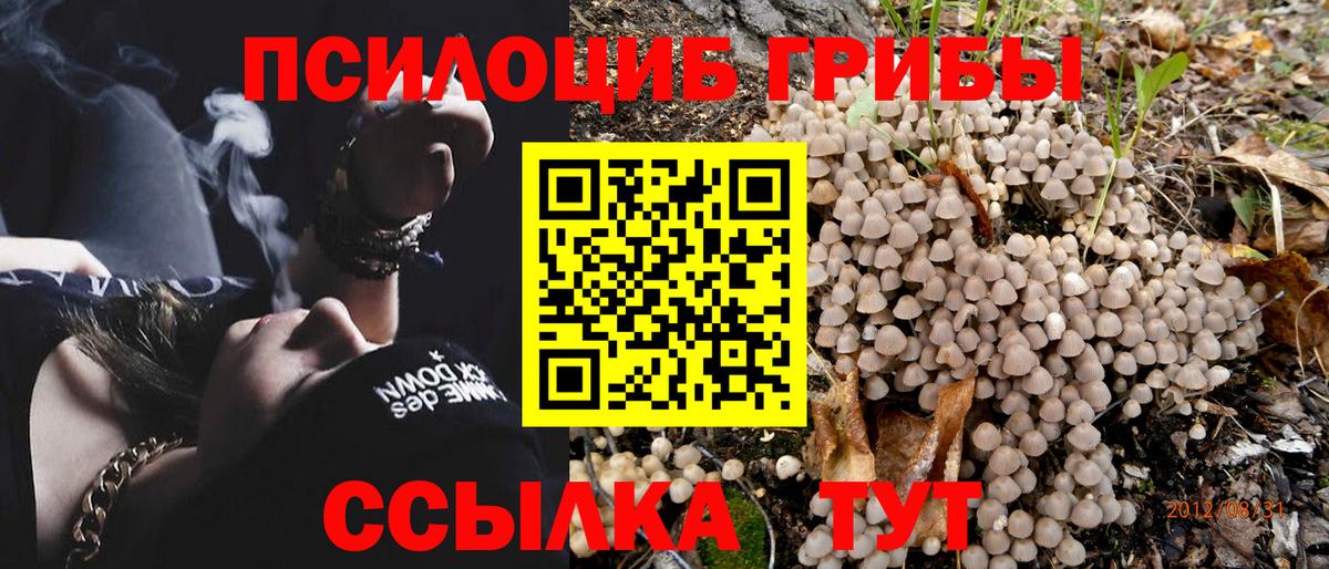 где купить наркоту  Вход с VPN  Изобильный  Псилоцибиновые грибы MAGIC MUSHROOMS 